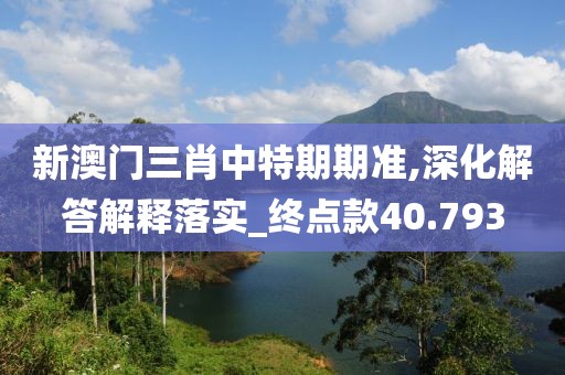 新澳门三肖中特期期准,深化解答解释落实_终点款40.793