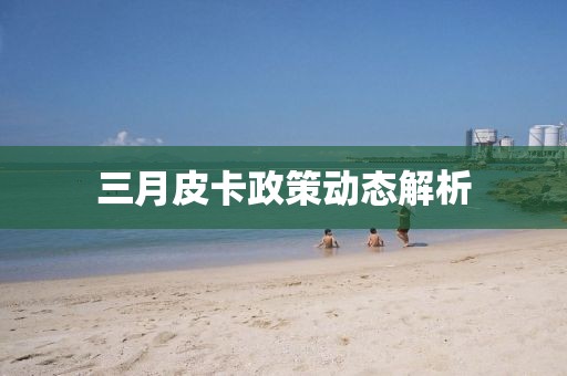 三月皮卡政策动态解析