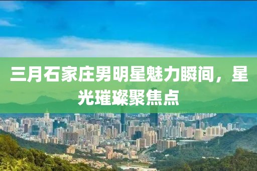三月石家庄男明星魅力瞬间，星光璀璨聚焦点