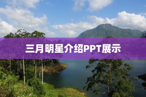 三月明星介绍PPT展示