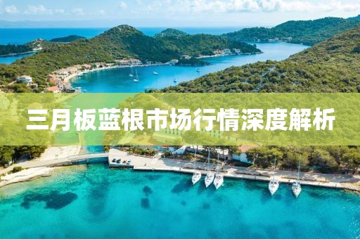 三月板蓝根市场行情深度解析