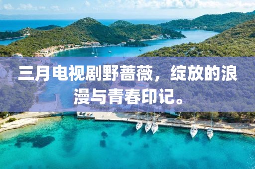 2025年4月3日 第5页