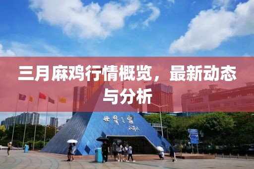 三月麻鸡行情概览，最新动态与分析