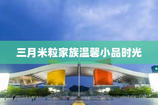 三月米粒家族温馨小品时光