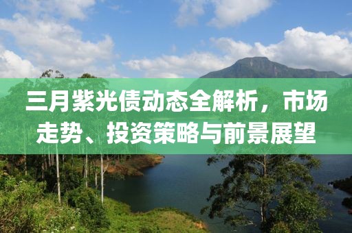 三月紫光债动态全解析，市场走势、投资策略与前景展望