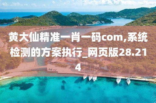 黄大仙精准一肖一码com,系统检测的方案执行_网页版28.214