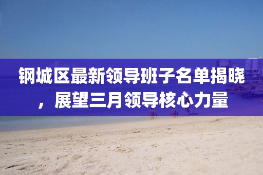 钢城区最新领导班子名单揭晓，展望三月领导核心力量
