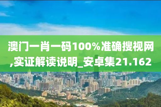 澳门一肖一码100%准确搜视网,实证解读说明_安卓集21.162