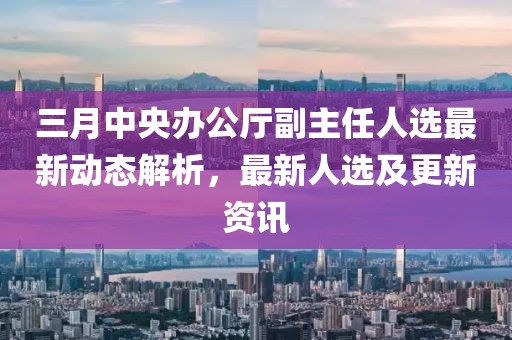 三月中央办公厅副主任人选最新动态解析，最新人选及更新资讯