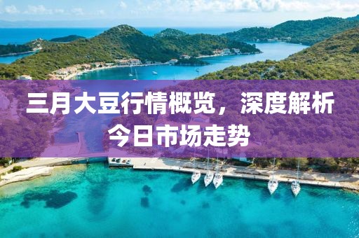 三月大豆行情概览，深度解析今日市场走势