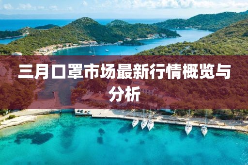 三月口罩市场最新行情概览与分析
