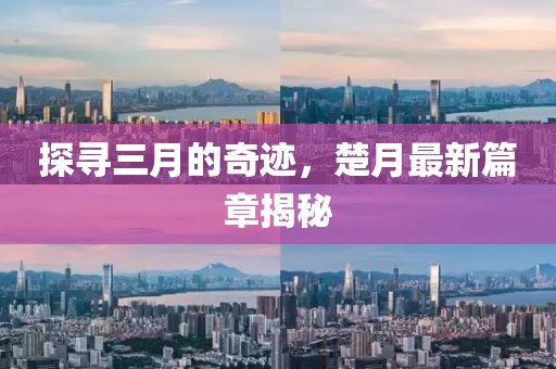 探寻三月的奇迹，楚月最新篇章揭秘