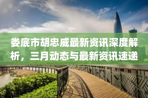 娄底市胡忠威最新资讯深度解析，三月动态与最新资讯速递