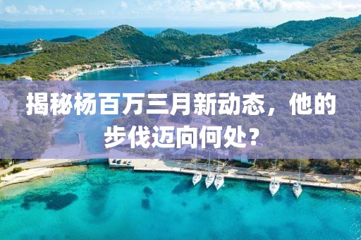 揭秘杨百万三月新动态，他的步伐迈向何处？