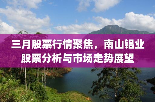 三月股票行情聚焦，南山铝业股票分析与市场走势展望