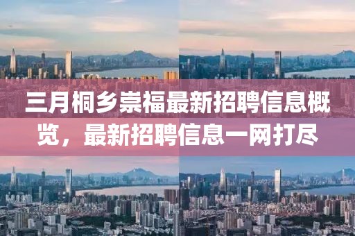 三月桐乡崇福最新招聘信息概览，最新招聘信息一网打尽
