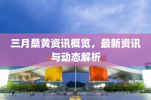 三月桑黄资讯概览，最新资讯与动态解析