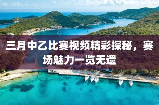 三月中乙比赛视频精彩探秘，赛场魅力一览无遗