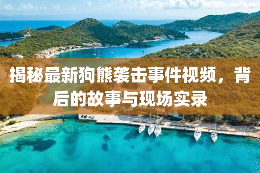 揭秘最新狗熊袭击事件视频，背后的故事与现场实录