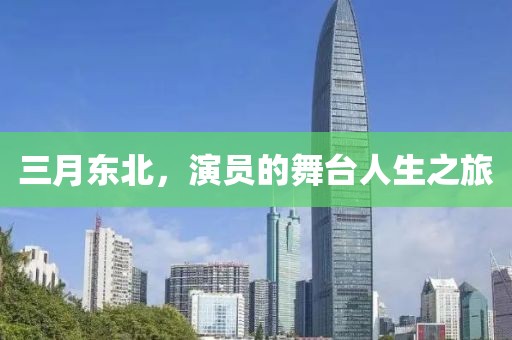 2025年4月6日 第2页