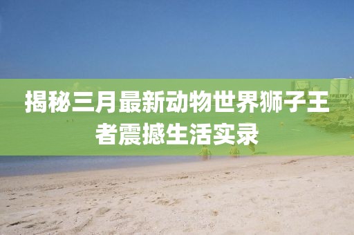 揭秘三月最新动物世界狮子王者震撼生活实录