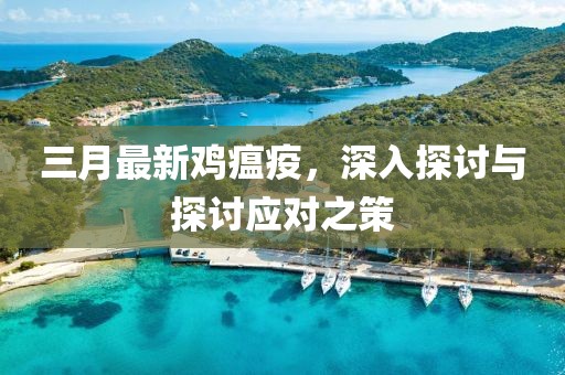三月最新鸡瘟疫，深入探讨与探讨应对之策
