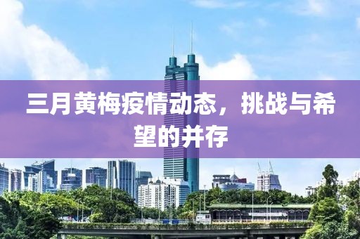 三月黄梅疫情动态，挑战与希望的并存