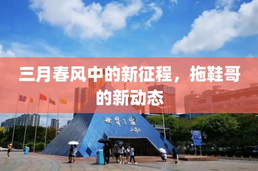 三月春风中的新征程，拖鞋哥的新动态
