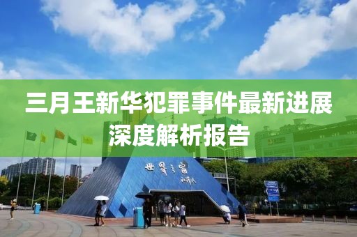 三月王新华犯罪事件最新进展深度解析报告