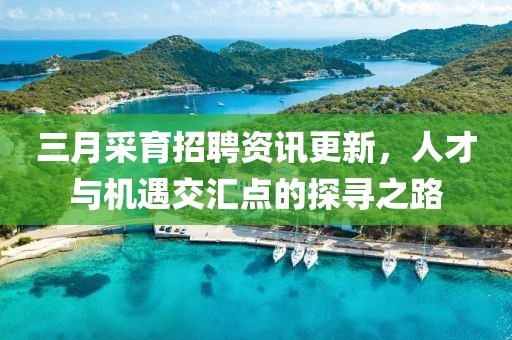 三月采育招聘资讯更新，人才与机遇交汇点的探寻之路
