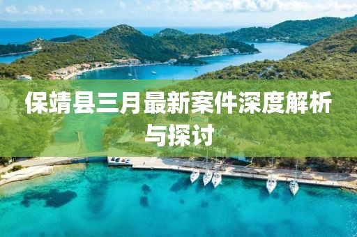 保靖县三月最新案件深度解析与探讨