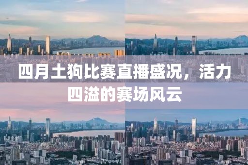 四月土狗比赛直播盛况，活力四溢的赛场风云