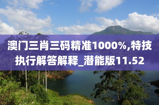 澳门三肖三码精准1000%,特技执行解答解释_潜能版11.52