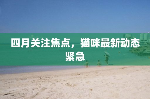 四月关注焦点，猫咪最新动态紧急