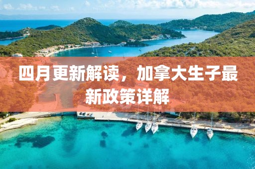 四月更新解读，加拿大生子最新政策详解