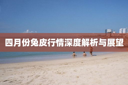 四月份兔皮行情深度解析与展望