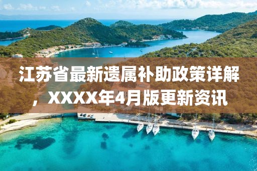 江苏省最新遗属补助政策详解，XXXX年4月版更新资讯