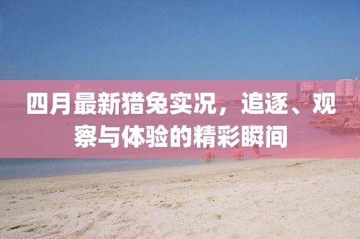 四月最新猎兔实况，追逐、观察与体验的精彩瞬间