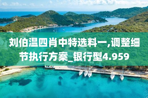 刘伯温四肖中特选料一,调整细节执行方案_银行型4.959