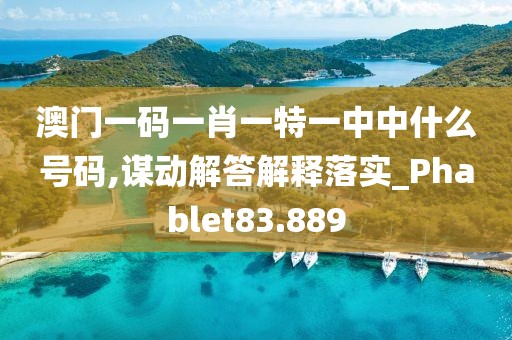 澳门一码一肖一特一中中什么号码,谋动解答解释落实_Phablet83.889