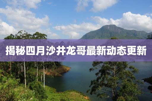 揭秘四月沙井龙哥最新动态更新