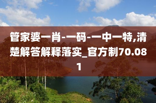 管家婆一肖-一码-一中一特,清楚解答解释落实_官方制70.081