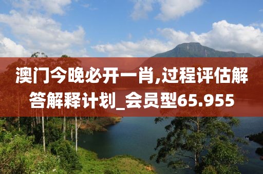 澳门今晚必开一肖,过程评估解答解释计划_会员型65.955