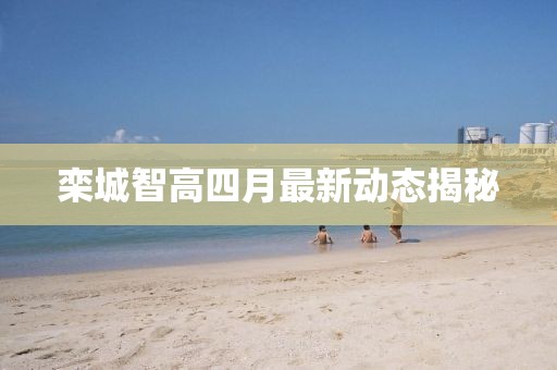 栾城智高四月最新动态揭秘
