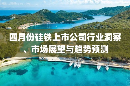四月份硅铁上市公司行业洞察、市场展望与趋势预测