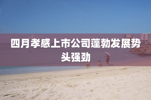 四月孝感上市公司蓬勃发展势头强劲