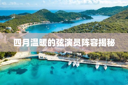 四月温暖的弦演员阵容揭秘