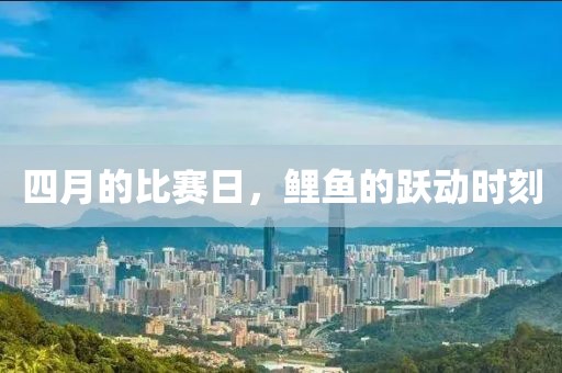 四月的比赛日，鲤鱼的跃动时刻