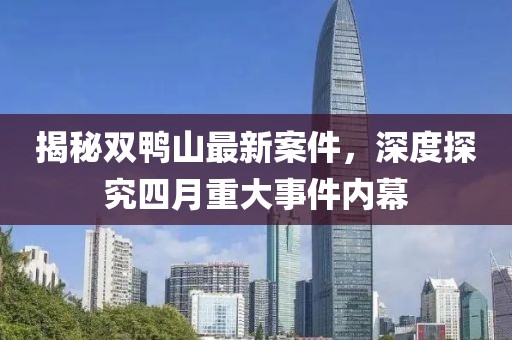 揭秘双鸭山最新案件，深度探究四月重大事件内幕