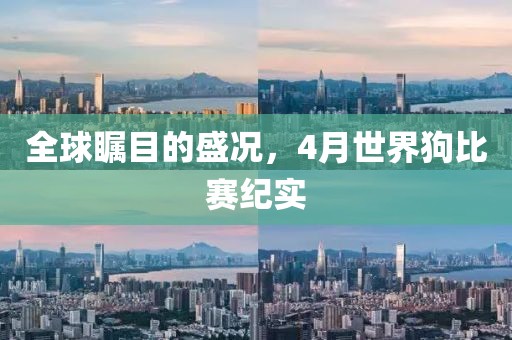 全球瞩目的盛况，4月世界狗比赛纪实